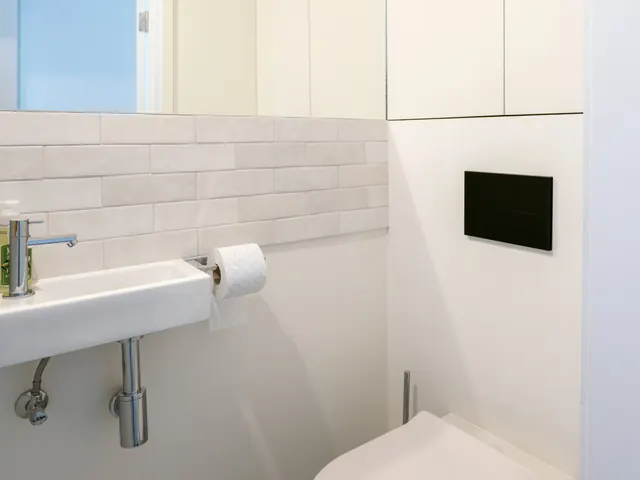Toilettes suspendues avec lave-mains, crédence en zelliges blancs, grand miroir et rangements blancs, Camuche de Bettignies à Tournai